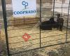 Fundacion Cooprado