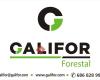 Galifor Forestal