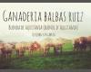 Ganadería Balbas Ruiz Blonda de Aquitania