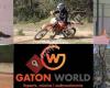Gaton World