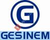 GESINEM-Gestion Integral Empresas