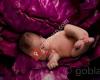 Goblanc. Fotografía de bebés,newborn,retrato,publicidad y retoque digital