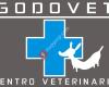 Godovet Clinica Veterinaria