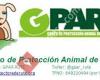 Grupo de Protección Animal de Rute