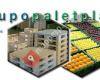 Grupo PaletPlastic