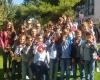 GRUPO SCOUT MONEGRO ASDE 572