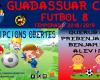 Guadassuar CF