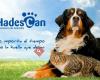 HADESCAN Crematorio de Animales S.L.