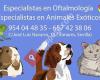 HISPALVET Veterinarios