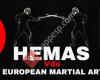 Historical European Martial Arts School Vdo