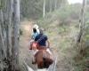 Horse Riding in Spain