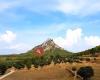 Hotel Miralles