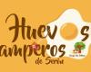 Huevos Camperos de Serón - Granja San Antonio