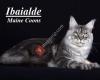Ibaialde Maine Coons