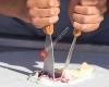 Ice Hopper - The Thai Roll Ice Cream