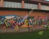 IES Foramontanos