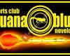 Iguana Blue Novelda Darts Club