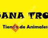 Iguana Tropic