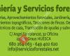 Ingeniería y Servicios Forestales