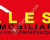 INMOBILIARIA ILLES DPS