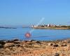 Inmobiliaria Sud Mallorca S.L.