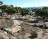 Jardín Botánico Detunda - Cueva de Nerja