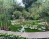 Jardin Botanico