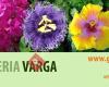 Jardineria Varga