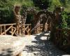 Jardins Artigas
