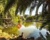 Jardins de Can Mercader