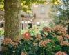 Jardins El Roquer, espai per a esdeveniments