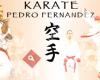 Karate Pedro Fernandez