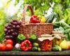 Kokurieco Alimentación Ecológica y Comercio Justo