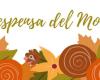 La Despensa del Moncayo