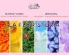 La Floristería