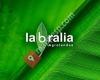 Labralia