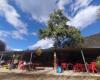 Las Cuevas. Barbacoa Y Cafeta