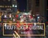 Lealup Trafficker Digital
