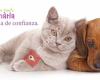 Les Fonts Veterinària