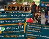 Liberadogs. Adiestramiento Canino Madrid