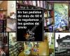 Libreria Central San Bernardo, 31