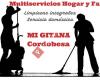 Limpiezas generales, servicio doméstico, cocina casera y profesional.