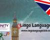 LINGO Languages