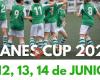 LLanes Cup