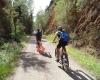 Lloguer de Bicicletes - Bicisports Aubanell