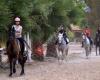 Los Establos Novelda Centro Equestre Granja Restaurante