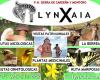 Lynxaia - Eco turismo - Montoro