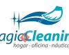 Magic Cleaning