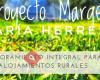 Margen. Consultora Turismo Rural