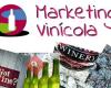 Marketing Vinícola - Marketing del Vino para Bodegas